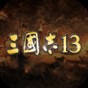 三国志13无限娶妻能生孩子吗