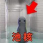 輕松養(yǎng)魚(yú)水族館