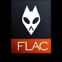 flacplayer