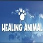 heal下载