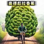 血战上海滩一命通关